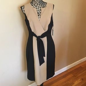 Calvin Klein Two Tone Dress